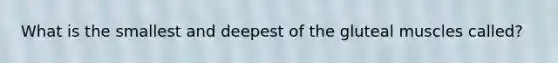 What is the smallest and deepest of the gluteal muscles called?