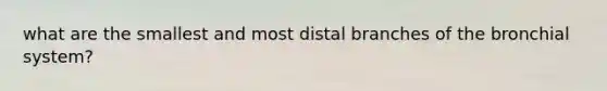 what are the smallest and most distal branches of the bronchial system?