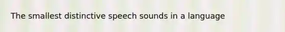 The smallest distinctive speech sounds in a language