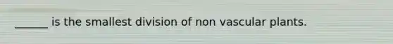 ______ is the smallest division of non vascular plants.