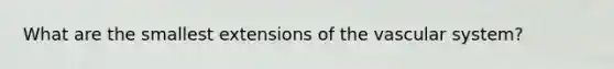 What are the smallest extensions of the vascular system?