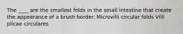 The ____ are the smallest folds in the small intestine that create the appearance of a brush border. Microvilli circular folds Villi plicae circulares