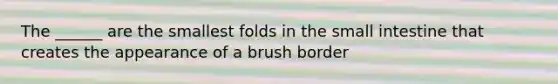 The ______ are the smallest folds in the small intestine that creates the appearance of a brush border