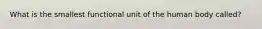 What is the smallest functional unit of the human body called?