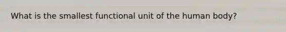 What is the smallest functional unit of the human body?