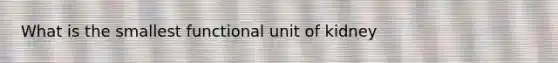 What is the smallest functional unit of kidney