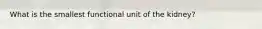 What is the smallest functional unit of the kidney?