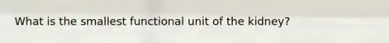 What is the smallest functional unit of the kidney?