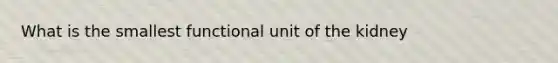What is the smallest functional unit of the kidney