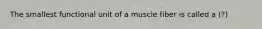 The smallest functional unit of a muscle fiber is called a (?)