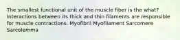 The smallest functional unit of the muscle fiber is the what? Interactions between its thick and thin filaments are responsible for muscle contractions. Myofibril Myofilament Sarcomere Sarcolemma