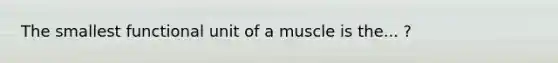 The smallest functional unit of a muscle is the... ?