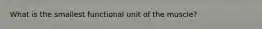 What is the smallest functional unit of the muscle?