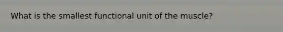 What is the smallest functional unit of the muscle?