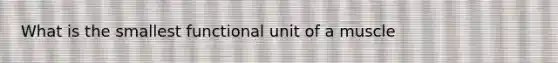 What is the smallest functional unit of a muscle