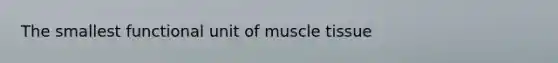 The smallest functional unit of muscle tissue