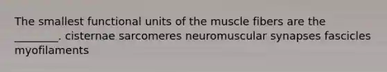 The smallest functional units of the muscle fibers are the ________. cisternae sarcomeres neuromuscular synapses fascicles myofilaments