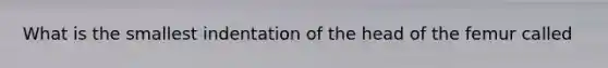 What is the smallest indentation of the head of the femur called