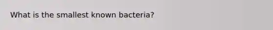 What is the smallest known bacteria?