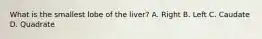 What is the smallest lobe of the liver? A. Right B. Left C. Caudate D. Quadrate