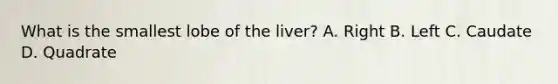 What is the smallest lobe of the liver? A. Right B. Left C. Caudate D. Quadrate