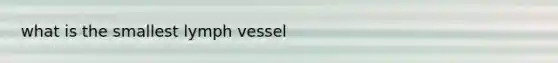 what is the smallest lymph vessel