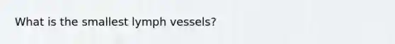 What is the smallest lymph vessels?