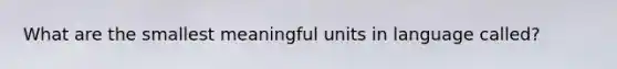 What are the smallest meaningful units in language called?