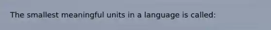 The smallest meaningful units in a language is called: