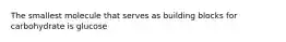 The smallest molecule that serves as building blocks for carbohydrate is glucose