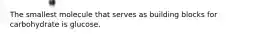 The smallest molecule that serves as building blocks for carbohydrate is glucose.