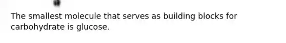 The smallest molecule that serves as building blocks for carbohydrate is glucose.