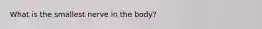 What is the smallest nerve in the body?