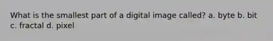 What is the smallest part of a digital image called? a. byte b. bit c. fractal d. pixel