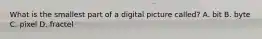 What is the smallest part of a digital picture called? A. bit B. byte C. pixel D. fractel