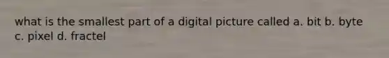 what is the smallest part of a digital picture called a. bit b. byte c. pixel d. fractel