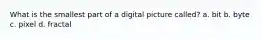 What is the smallest part of a digital picture called? a. bit b. byte c. pixel d. fractal