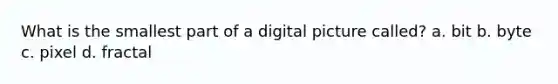 What is the smallest part of a digital picture called? a. bit b. byte c. pixel d. fractal