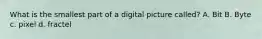 What is the smallest part of a digital picture called? A. Bit B. Byte c. pixel d. fractel