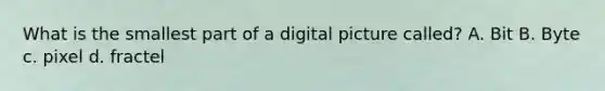 What is the smallest part of a digital picture called? A. Bit B. Byte c. pixel d. fractel