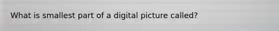 What is smallest part of a digital picture called?