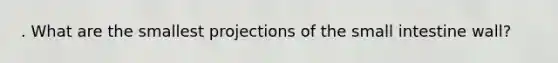 . What are the smallest projections of the small intestine wall?