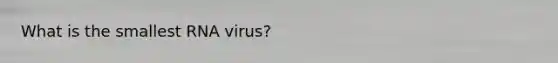 What is the smallest RNA virus?