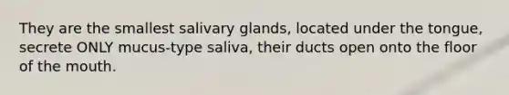 They are the smallest salivary glands, located under the tongue, secrete ONLY mucus-type saliva, their ducts open onto the floor of the mouth.