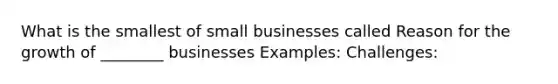 What is the smallest of small businesses called Reason for the growth of ________ businesses Examples: Challenges: