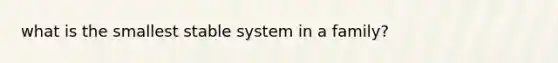 what is the smallest stable system in a family?