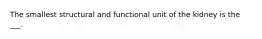 The smallest structural and functional unit of the kidney is the ___.