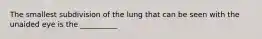 The smallest subdivision of the lung that can be seen with the unaided eye is the __________