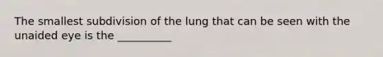 The smallest subdivision of the lung that can be seen with the unaided eye is the __________