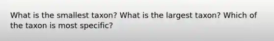 What is the smallest taxon? What is the largest taxon? Which of the taxon is most specific?